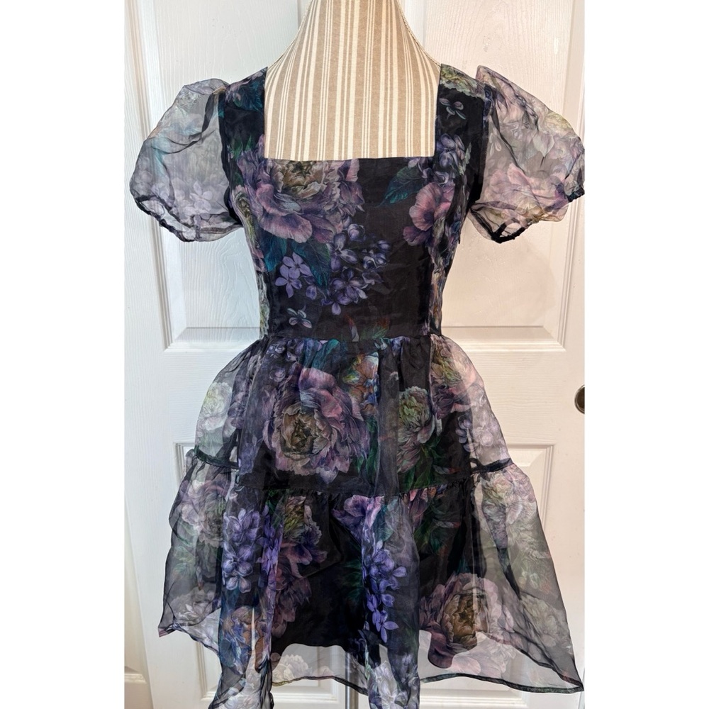 Lulus Exceptional Fate Floral Organza Puff Sleeve Mini Dress Whimsy Fairy Large